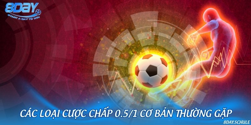 Các loại cược chấp 0.5/1 cơ bản thường gặp