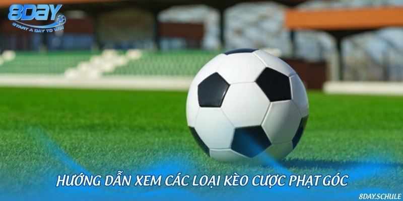 Các loại kèo phạt góc phổ biến trong cá cược thể thao và cách đặt cược đơn giản