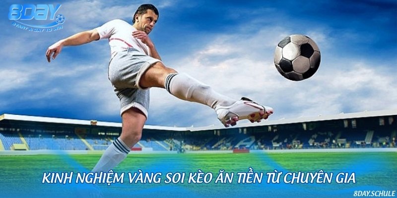 Bỏ túi kinh nghiệm giúp tăng tỷ lệ thắng khi chơi kèo