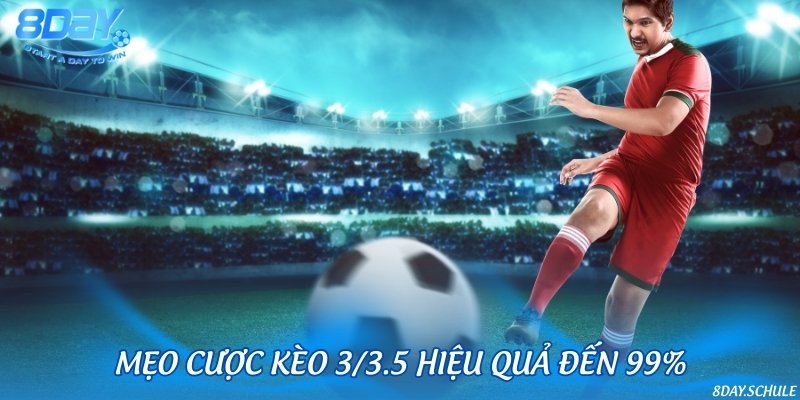 Kinh nghiệm, bí kíp hữu ích từ chuyên gia