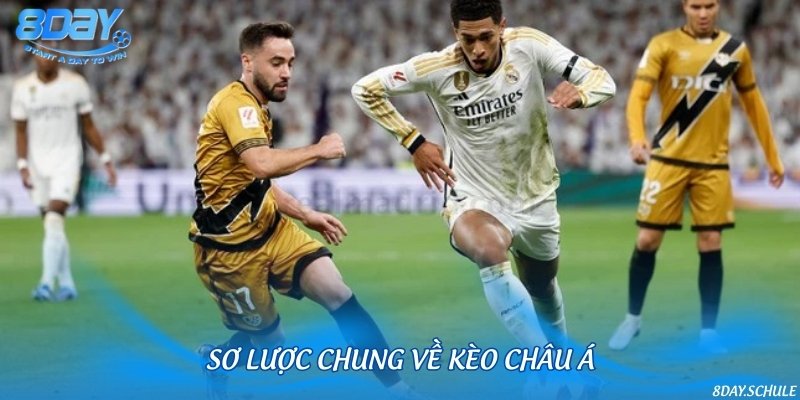Giới thiệu loại kèo được yêu thích nhất nhà cái