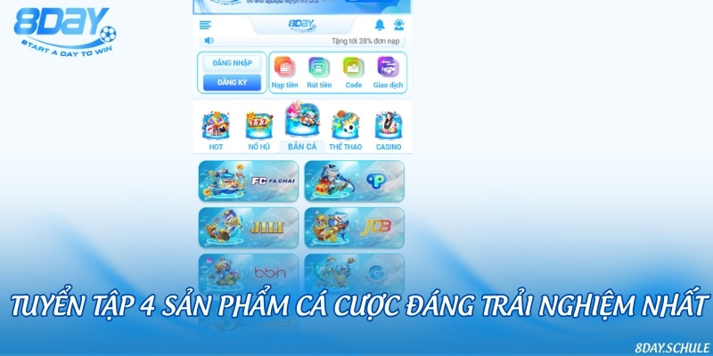 Top 4 sản phẩm cá cược hot nhất, chơi là mê