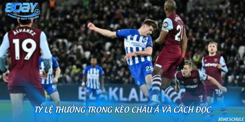 Điểm mặt 5 tỷ lệ thường gặp trong kèo cược châu Á